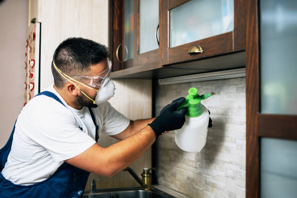 Best Wildlife Control Services  in Wellington, CO