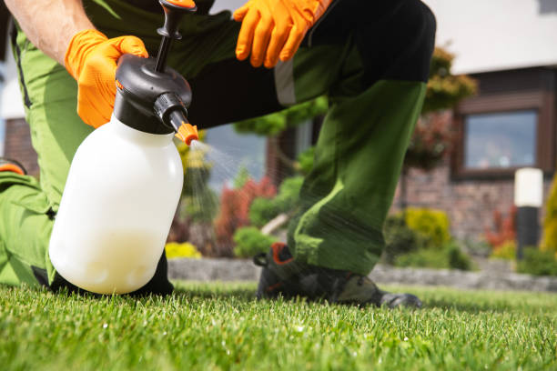  Wellington, CO Pest Control Pros