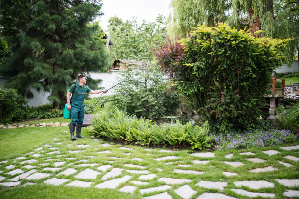 Best Pest Removal Services  in Wellington, CO