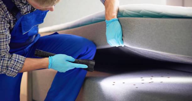Best Pest Control Near Me  in Wellington, CO