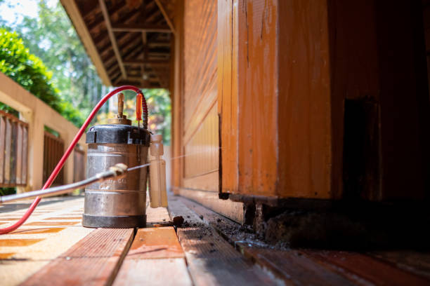 Best Best Pest Control Companies  in Wellington, CO