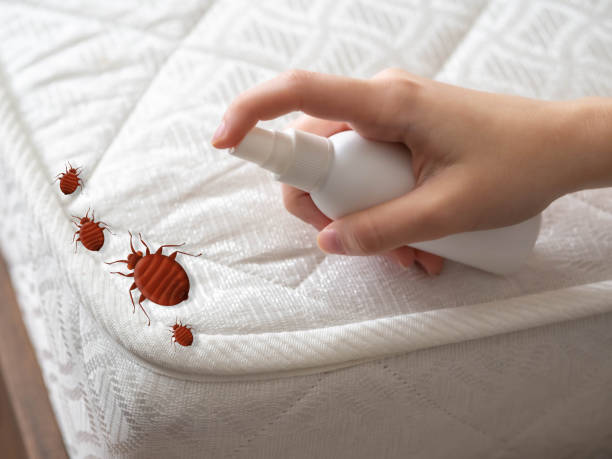 Pest Prevention Services in Wellington, CO