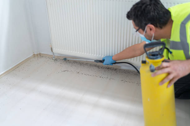 Best Best Pest Control Companies  in Wellington, CO