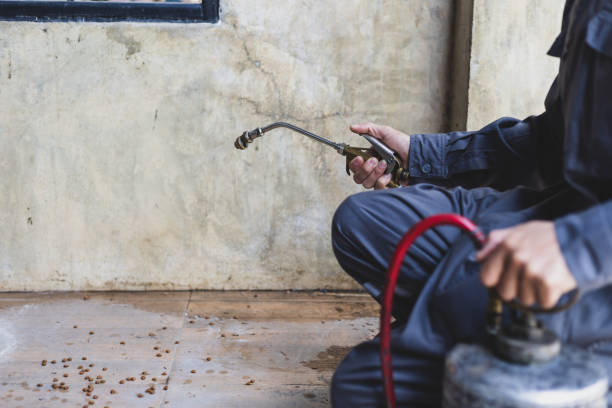 Best Local Pest Control Services  in Wellington, CO