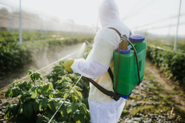 Trusted Wellington, CO Pest Control Experts